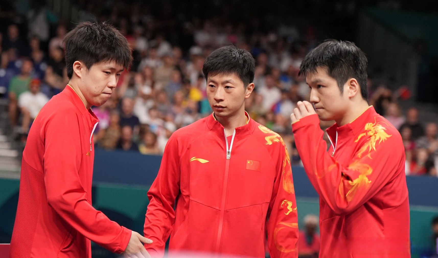 包含日本乒乓球队完胜比利时乒乓球队，马龙送出助攻的词条