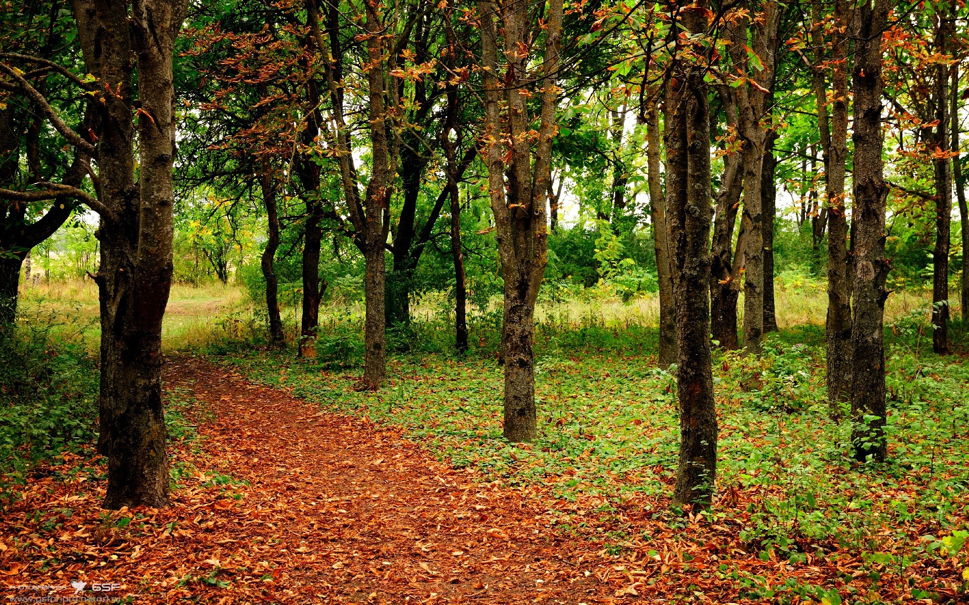 逆袭之夜!爵士窒息防守掀翻鹈鹕,塔图姆末节封神一战定乾坤